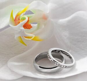 חתונה - צלם חתונה